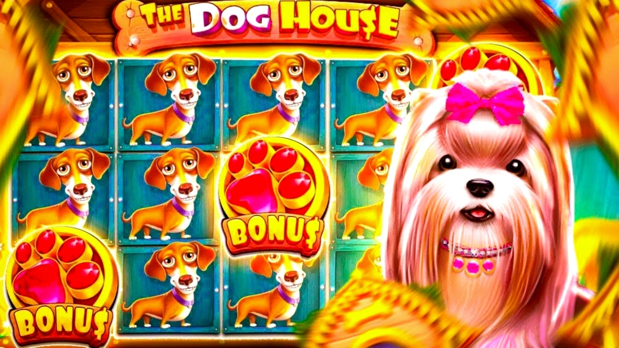 The Dog House